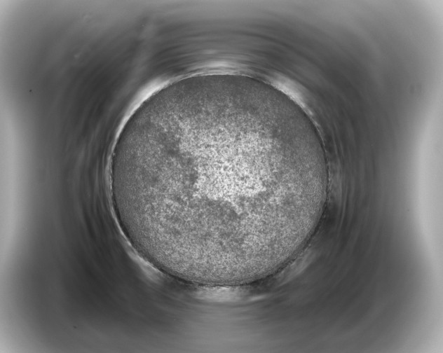 X0000086961474200704301228