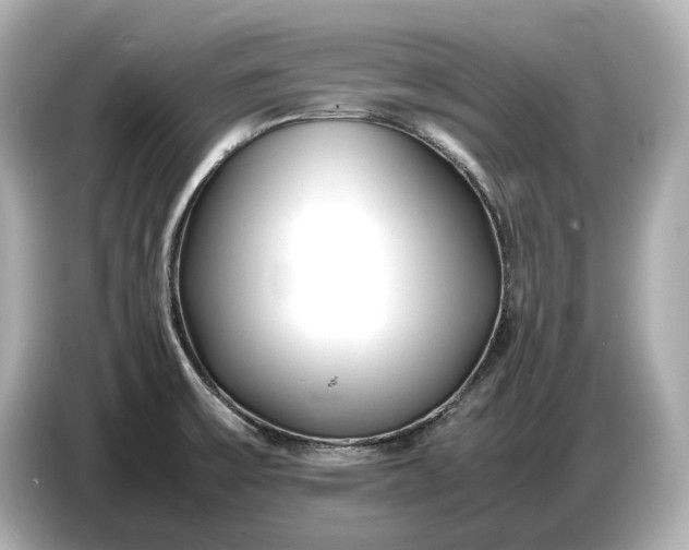 X0000086961475200704301228