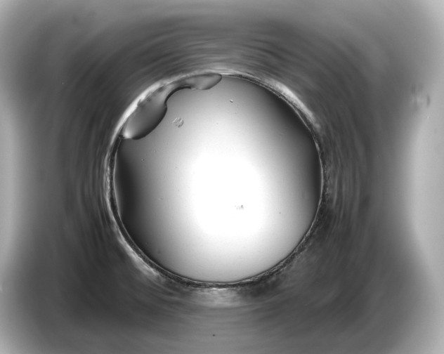 X0000086961476200704301228