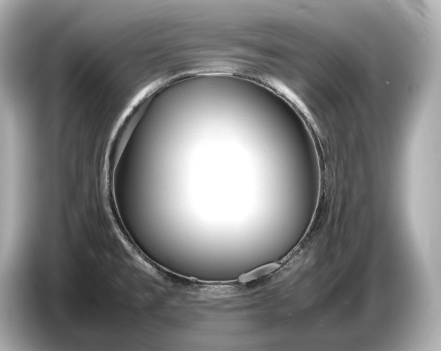 X0000086961477200704301228