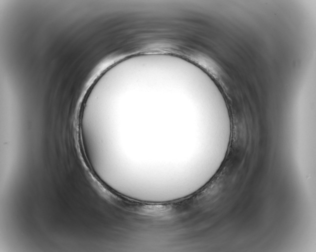 X0000086961478200704301228