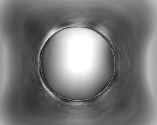 X0000086961479200704301228
