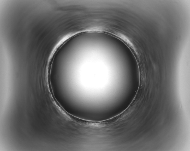 X0000086961480200704301228