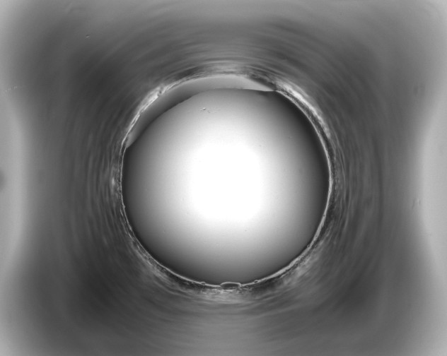 X0000086961481200704301228