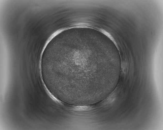X0000086961482200704301228