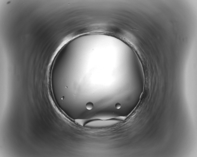 X0000086961483200704301228