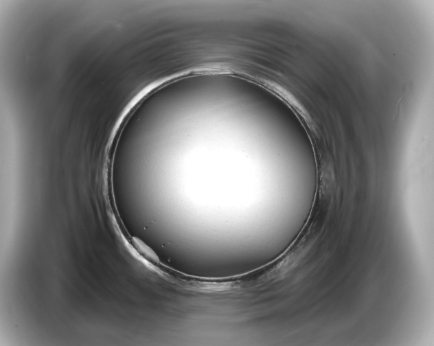 X0000086961484200704301228