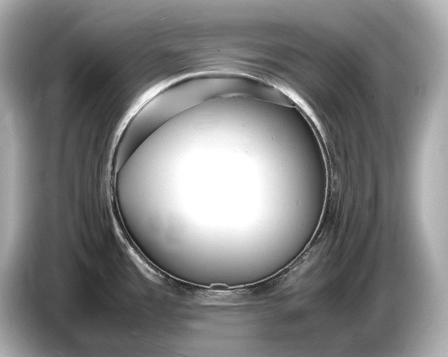 X0000086961485200704301227