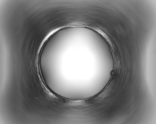 X0000086961486200704301227