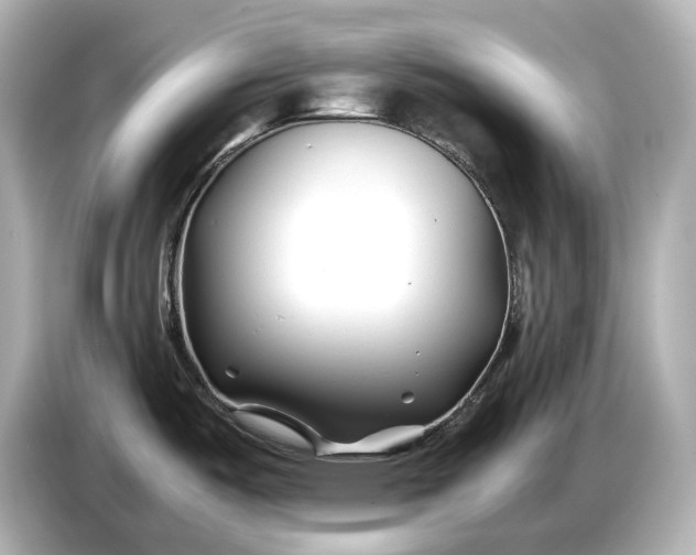 X0000086961487200704301227