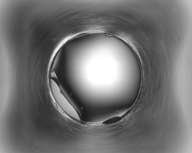 X0000086961488200704301227