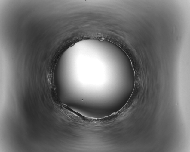 X0000086961490200704301227