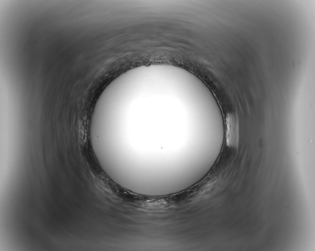 X0000086961491200704301227
