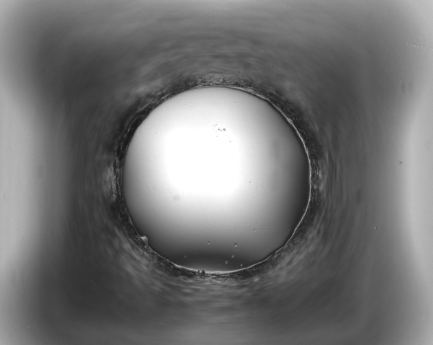 X0000086961493200704301227