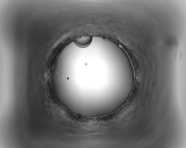 X0000086961495200704301227