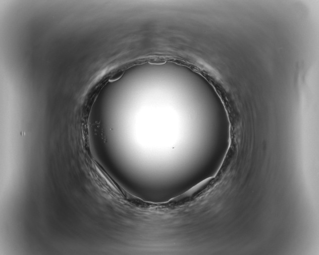 X0000086961496200704301227