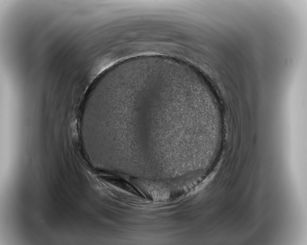 X0000086961497200704301227