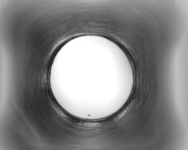 X0000086961498200704301227