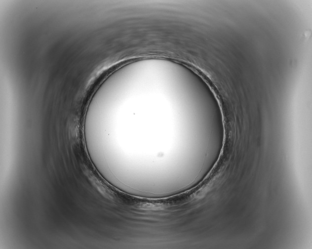 X0000086961499200704301227