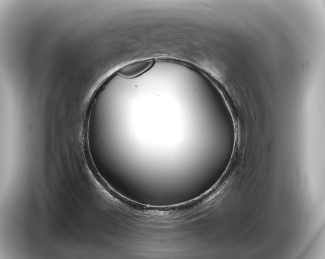 X0000086961500200704301227