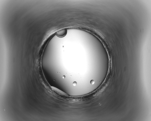 X0000086961501200704301227