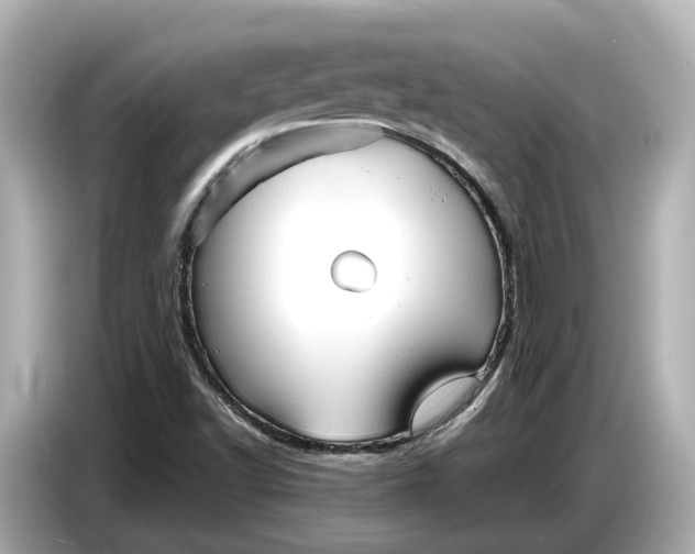 X0000086961502200704301227
