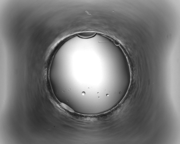 X0000086961503200704301227