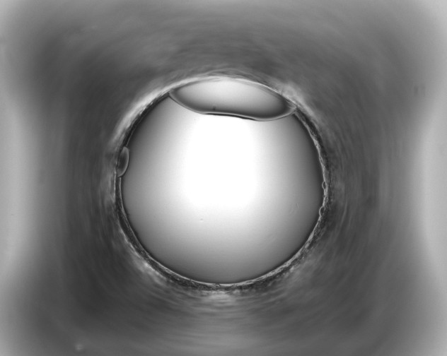 X0000086961504200704301227