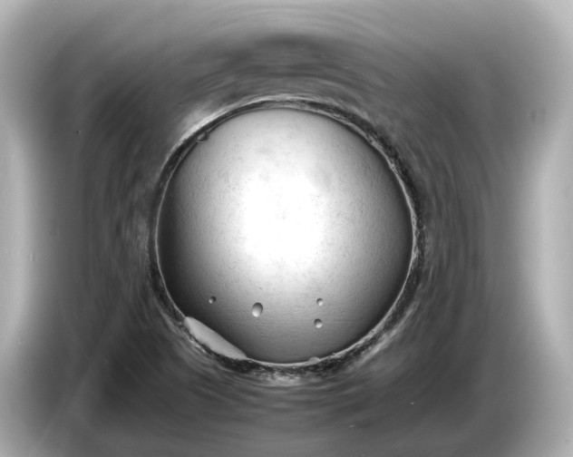 X0000086961505200704301227