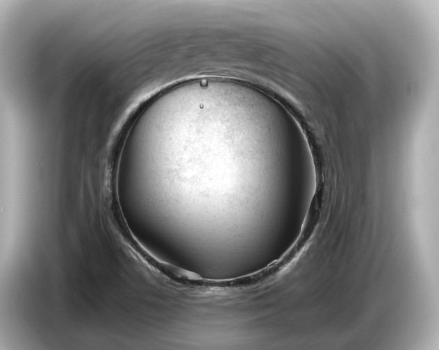 X0000086961506200704301227