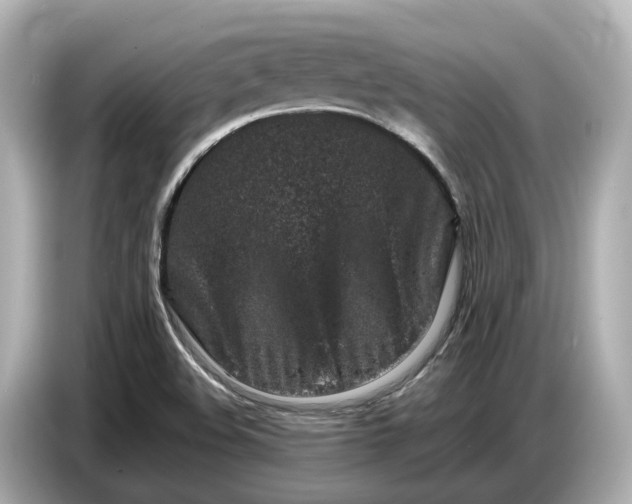 X0000086961508200704301227