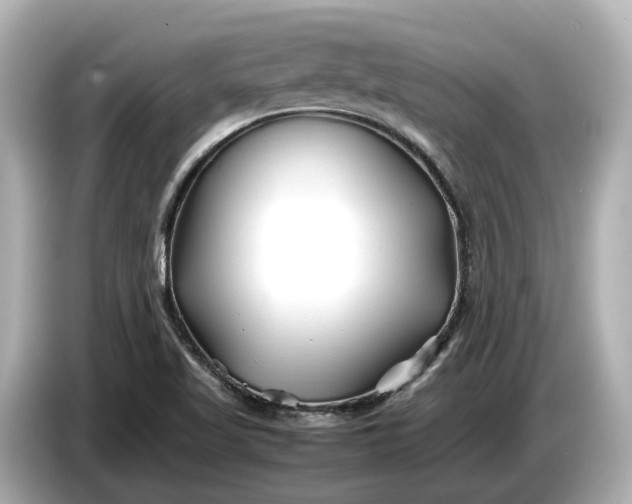 X0000086961509200704301227