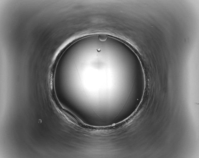 X0000086961510200704301227