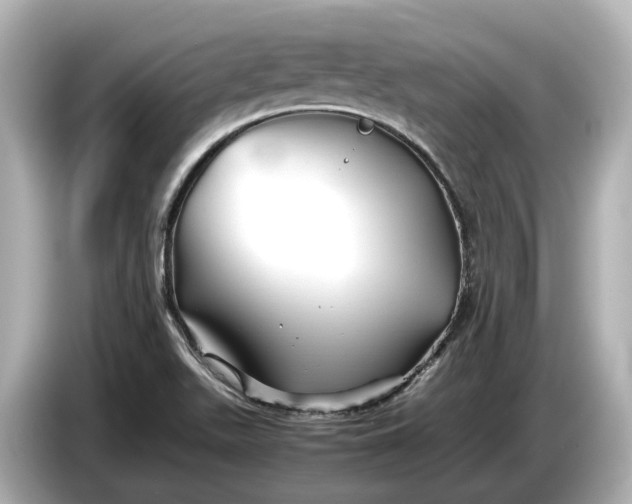 X0000086961511200704301227