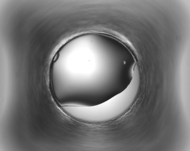 X0000086961512200704301227