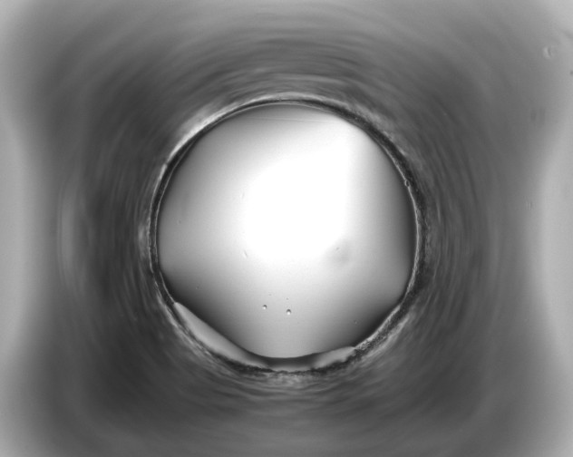 X0000086961513200704301227