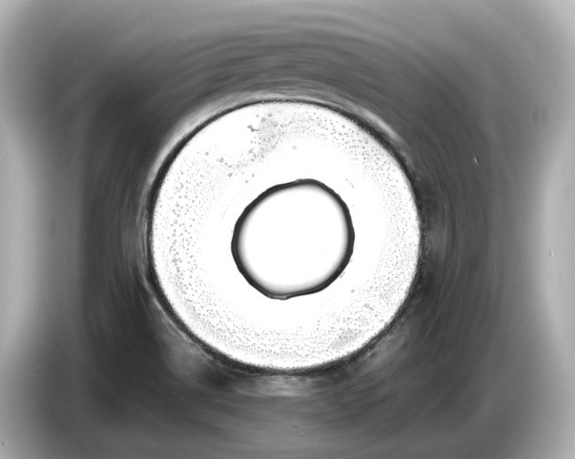 X0000086961514200704301227