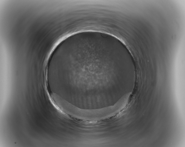 X0000086961515200704301227