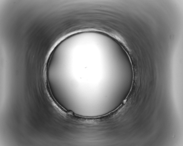 X0000086961516200704301227