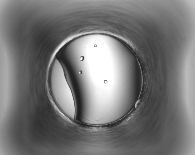 X0000086961518200704301227
