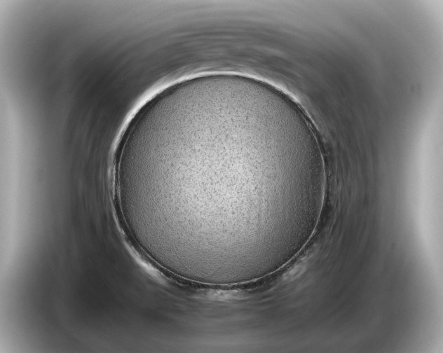 X0000086961519200704301227