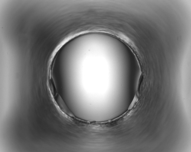 X0000086961520200704301227