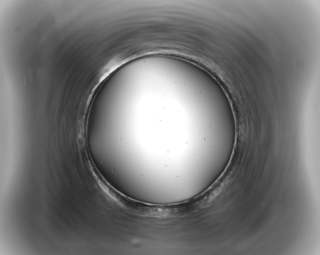 X0000086961521200704301227
