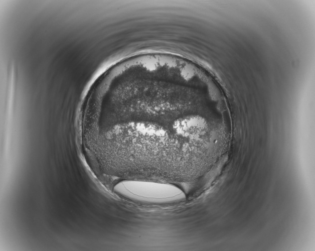 X0000086961522200704301227