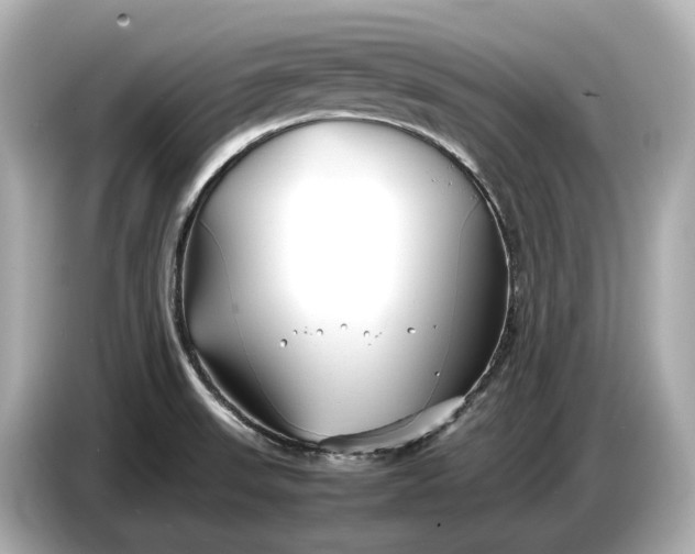 X0000086961523200704301227