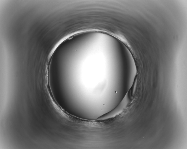 X0000086961524200704301227