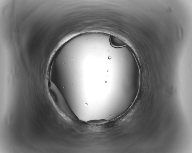 X0000086961525200704301227