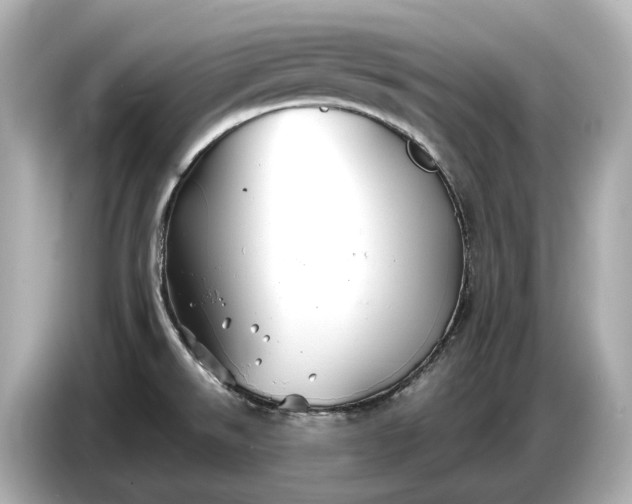 X0000086961526200704301227