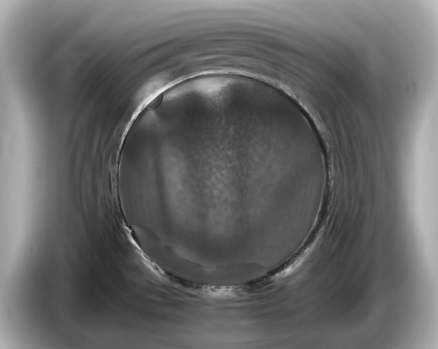 X0000086961529200704301227