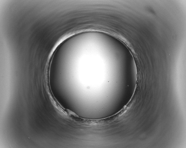 X0000086961530200704301227